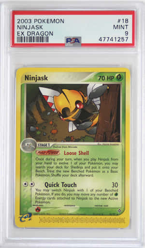 置於保護殼中的評級2003年寶可夢 Ninjask EX Dragon 卡牌。 — 寵物小精靈 劍與盾 壁紙