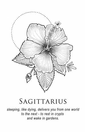 一幅黑白線條藝術芙蓉花，下方有關於人馬座的文字。 — 人馬座 壁紙
