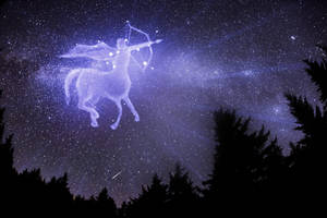 人馬座星座在松樹上方的夜空中發光 — 月亮與星星動畫 壁紙