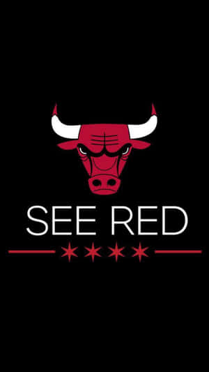 芝加哥公牛隊標誌，黑色背景上有「SEE RED」文字和四顆星星。