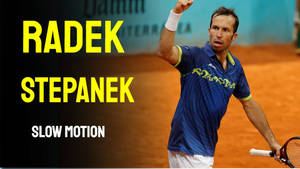 網球運動員Radek Stepanek在泥地球場上以慢動作慶祝得分。