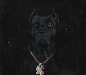 黑色卡斯羅犬戴著鑲有鑽石的祈禱手吊墜項鍊。