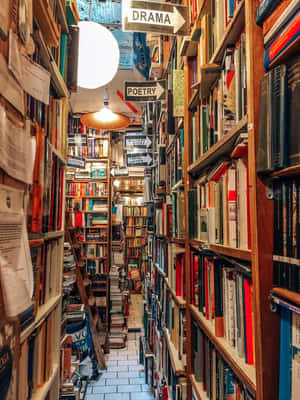 狹窄的書店通道，有高大的書架和懸掛燈。