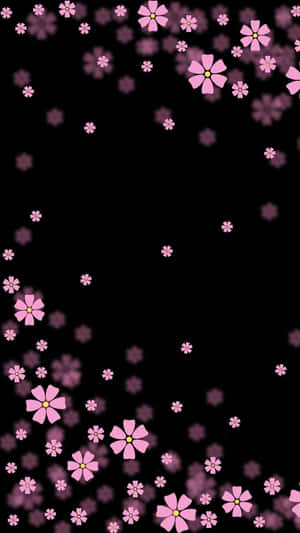 粉紅色的櫻花在黑色背景上飄浮。 — 粉紅花朵 壁紙