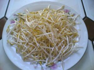 瓷磚枱面上花卉碟子裡的新鮮芽菜。