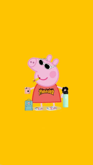 Peppa Pig 戴住太陽眼鏡同Thrasher衫，帶住背囊同水樽。