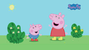 Peppa Pig 和 George Pig 在一個有花的陽光戶外田野中微笑。