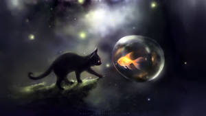 黑貓在星光燦爛的太空場景中觀察一個帶有金魚的發光泡泡。 — 可愛貓咪 壁紙