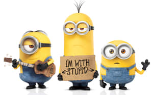 三個Minions，一個彈結他，一個舉著寫有I'M WITH STUPID的牌子。