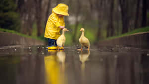 穿著黃色雨衣的小孩在森林濕路上撫摸鴨子。
