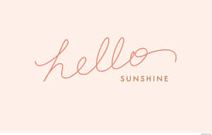 桃色背景上以銅色手寫體呈現的hello sunshine文字