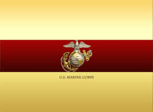 美國海軍陸戰隊徽章置於紅金背景上，附有文字。