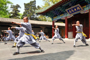 僧侶在中國寺廟庭院前練習武術。