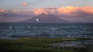 夕陽下，一隻白鳥飛過湖泊，背景是一座雪山火山。