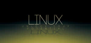 Linux 文字及標語 unlock your potential 在深色漸變背景上