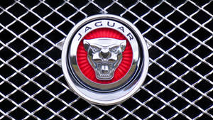 紅色背景的鍍鉻格柵上的Jaguar汽車標誌