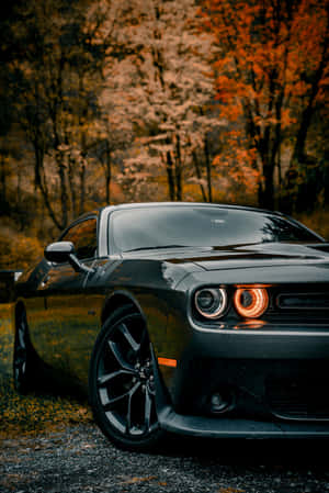 黑色 Dodge Challenger 亮著車頭燈停在秋天的森林中。