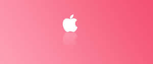 白色Apple標誌在粉紅色漸變背景上帶有倒影 — 淺粉紅色美學動圖 壁紙
