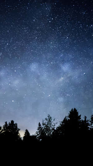 松樹剪影上方的星空 — 夜空 壁紙