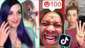 TikTok反應影片拼貼中的三位女士和一隻無毛貓。 — Meme 表情 壁紙