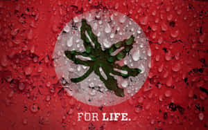 一面紅旗，帶有綠色大麻葉和水滴，並有文字 FOR LIFE。