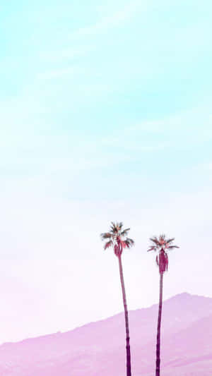 極簡美學背景 — 棕櫚樹 GIF 壁紙