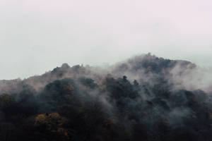 陰天下秋日山丘上的霧氣森林