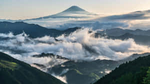 富士山聳立在雲海之上，森林覆蓋的山坡沐浴在晨光中。 — 天空景觀 壁紙