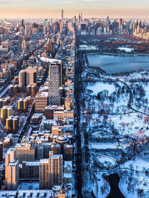 雪景城市風光，中央公園和日落時分的摩天大樓。