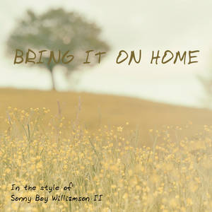 田野中的黃色野花，山坡上的樹木，文字 bring it on home