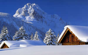 在晴朗的藍天下，被常青樹環繞的積雪山間小屋。