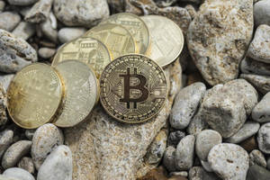 金色比特幣硬幣藏在灰色河石之間。