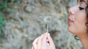女士在戶外岩石附近吹蒲公英種子