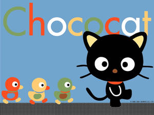 黑色貓咪和三隻小鴨在格子地板上，帶有 'Chococat' 文字。