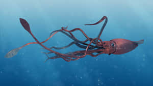 一隻略帶紅色的魷魚在清澈的藍色海水中滑行，伴有浮游粒子。