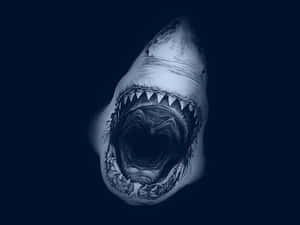 一條鯊魚張開嘴巴，在深藍色水中露出尖牙。