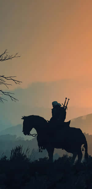 騎士騎在馬上，在日落天空和光禿禿的樹木襯托下形成剪影。 — 暗黑破壞神3 壁紙