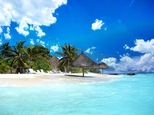 熱帶海灘，擁有碧綠海水、白色沙灘、棕櫚樹和茅草傘，在明亮的藍天下。 — 熱帶海灘 壁紙