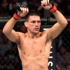 MMA拳手在八角籠中滿臉是血，高舉拳頭慶祝勝利。