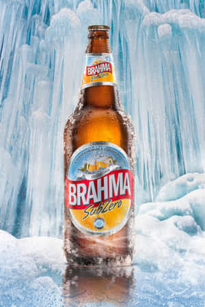 一個冰涼的 Brahma SubZero 啤酒瓶被冰雪包圍。