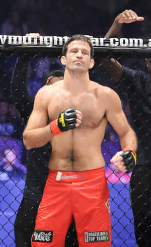 一位勝利的MMA戰士穿著紅色短褲，戴著手套的雙手高舉，站在籠內。 — Honor Pad X8b 壁紙