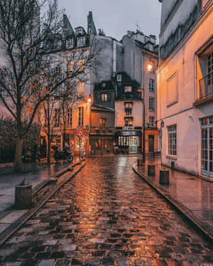 暮色中的巴黎鵝卵石街道，溫暖的街燈反射在濕漉漉的路面上。 — 天際線 壁紙