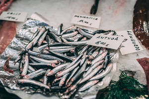 新鮮沙甸魚在錫紙上，海鮮市場，有價格標籤和冰塊。 — 美食 壁紙