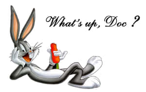 巴哥拿著胡蘿蔔微笑，並有文字『怎麼了，Doc？』