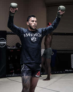 MMA拳手在訓練籠中舉起拳頭慶祝勝利。 — 搏擊會 GIF 壁紙