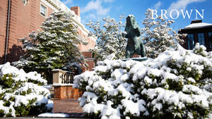 冬季大學校園裡被雪覆蓋的銅熊雕像。