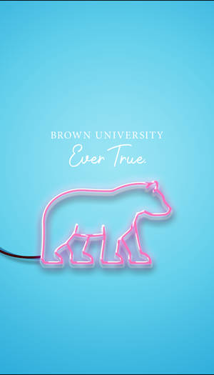 布朗大學的粉紅色霓虹燈熊標誌，藍色背景上帶有「Ever True」文字。