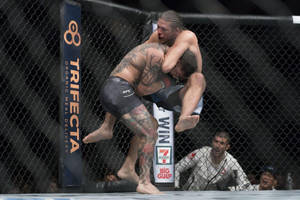 兩名男性MMA拳手在UFC比賽期間於八角籠內纏鬥。