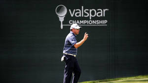 高爾夫球手在Valspar Championship期間於陽光明媚的高爾夫球場上慶祝。