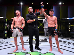 UFC拳手在比賽中獲勝，裁判在八角籠中舉起他的手。